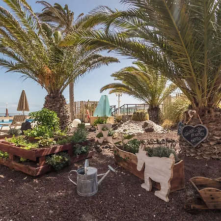 Esmeralda Maris By Livvo Hotel 4*